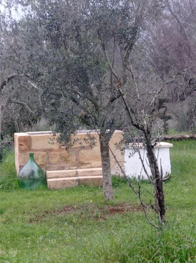 La Petraia Villa Magliano Eksteriør bilde