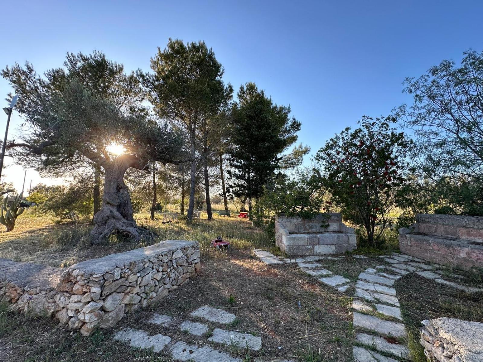 La Petraia Villa Magliano Eksteriør bilde